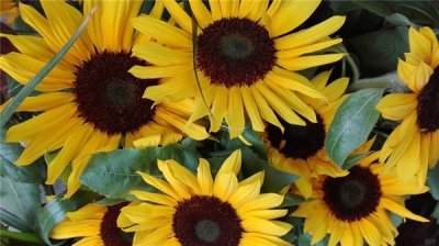 ​正能量十足的人生感悟