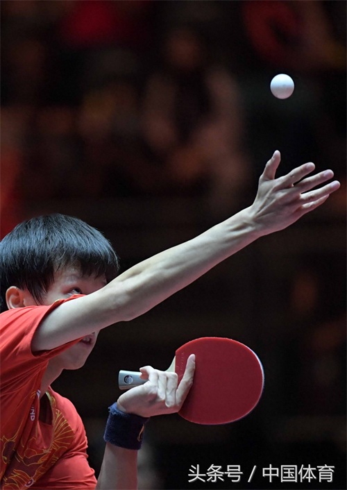 2017年世乒赛男单第四轮 许昕4比3胜林高远进八强