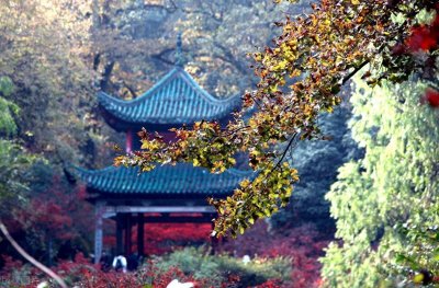 ​长沙八大免费景点，长