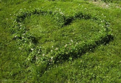 ​“女大一，不是妻”的