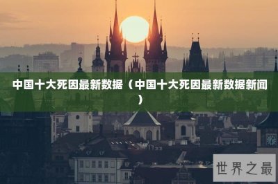 ​中国十大死因最新数据